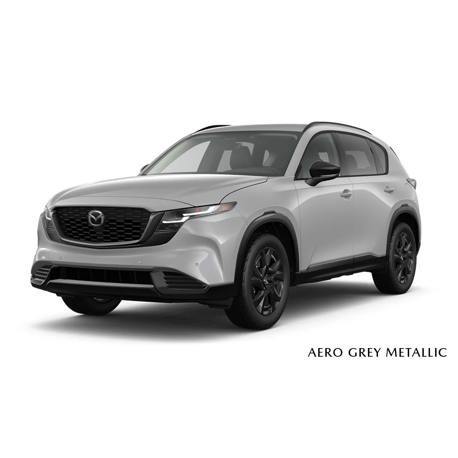 Touch-Up Paint Pen | Mazda CX-5 (2026) - Image 2